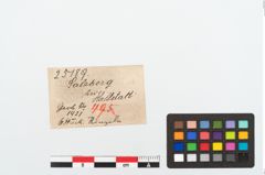 Etikett zu Bronzering (NHMW-PRAE-025189)